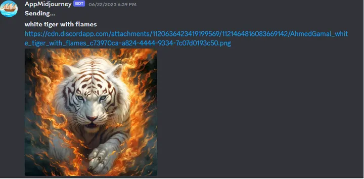 Screenshot of Midjourney proxy bot